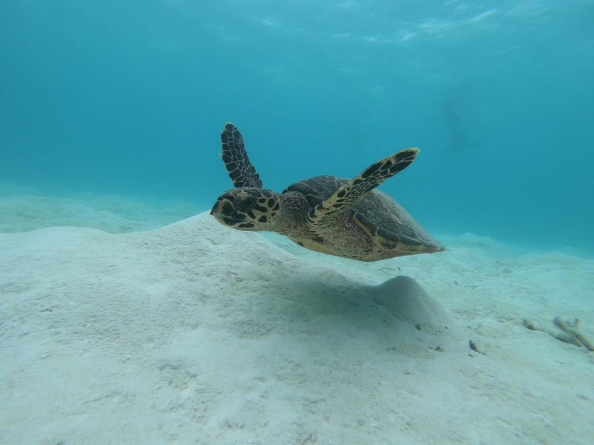 Hotel Water Seven Maafushi Zewnętrze zdjęcie